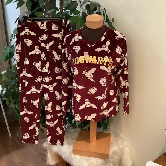 Harry Potter Wizarding World 2 piece pajama set Woman’s size Small - Picture 2 of 14